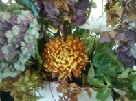 IMG_20171029_120409178