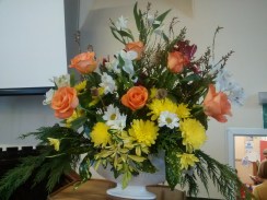 IMG_20171203_121309304