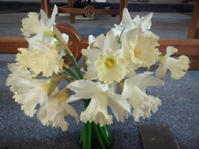 IMG_20180218_115104800