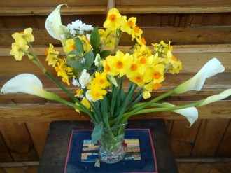 Daffodils24thMaarch2018