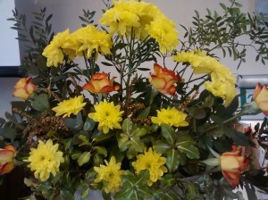 IMG_20180311_115557582