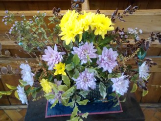 IMG_20180311_115626269