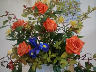 IMG_20180429_114257609