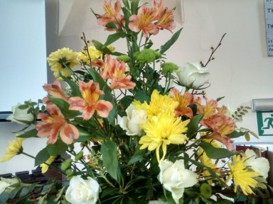 IMG_20181007_121619364_HDR