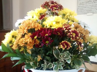 IMG_20190324_113545819