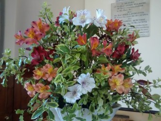 IMG_20190512_115425113