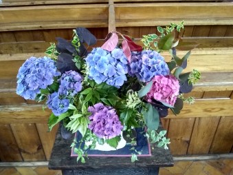 IMG_20190811_120227758_HDR