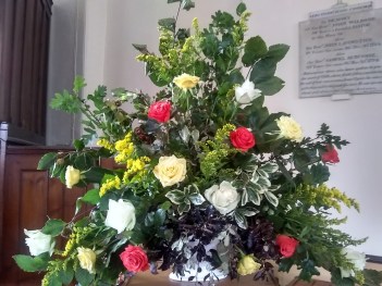 IMG_20190908_114442848_HDR