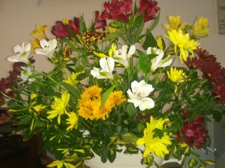 IMG_20191124_114419924